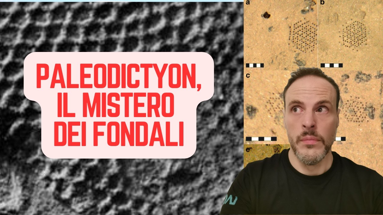 Un enigma irrisolto studiato da generazioni di scienziati