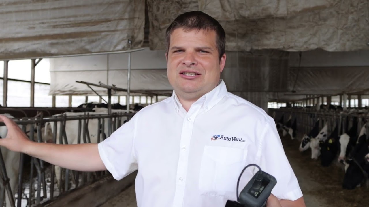 Livestock Fan Tunnel Ventilation MPH