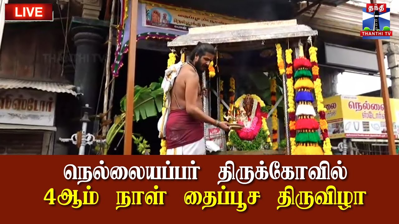 🔴 LIVE :நெல்லையப்பர் திருக்கோவில் தைப்பூச திருவிழா