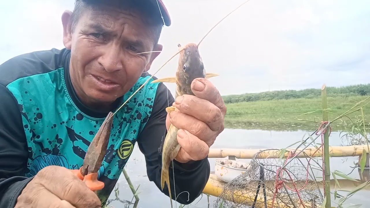 #pescaria de hoje 🐟🎣# só mandi
