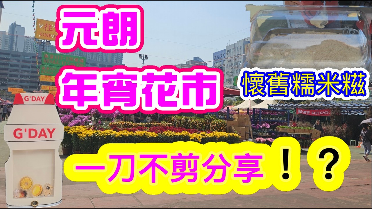 [香港遊系列]✨️2026元朗年宵花市 ✨️懷舊糯米糍元朗東頭工業區遊樂場年宵市場 一刀不剪？行花市 農曆新年 🐴馬年行大運 龍馬精神 福氣滿門🌸🌹🌻🌼🍊  自費項目 屯門區年宵市場2026✨️