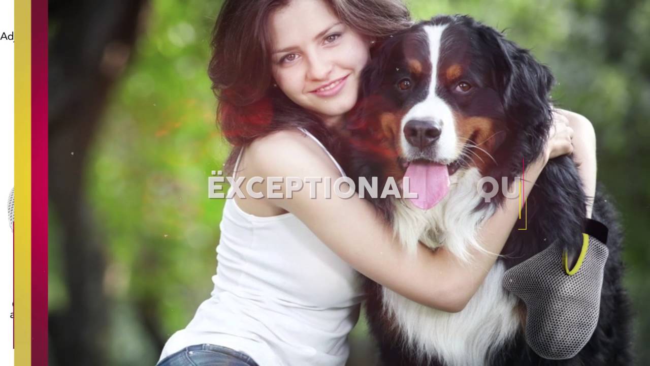 DakPets Pet Grooming Glove for all Dogs and Cats