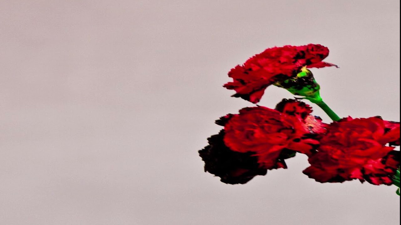 John Legend  -  All of Me  Slowed