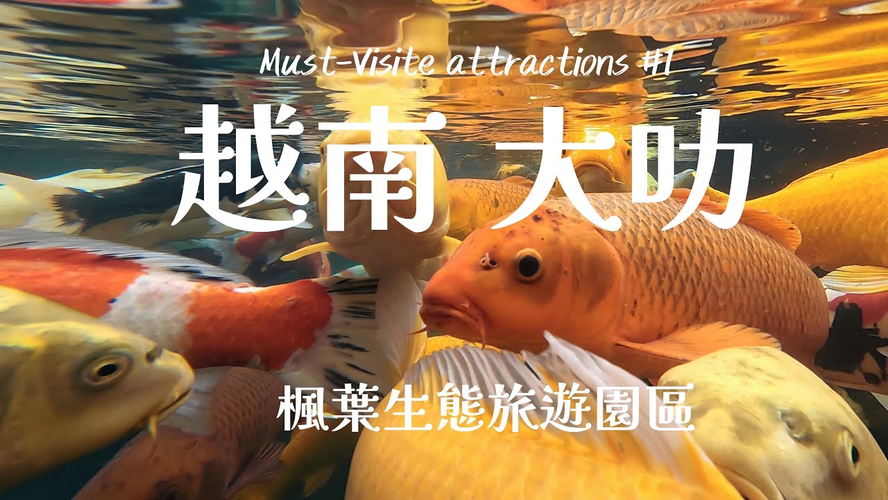 2025 越南大叻最強打卡點！📍 132頂屋頂奇觀建築 ＋ 夢幻楓葉林全紀錄 🍁超療癒餵錦鯉行程 🐟