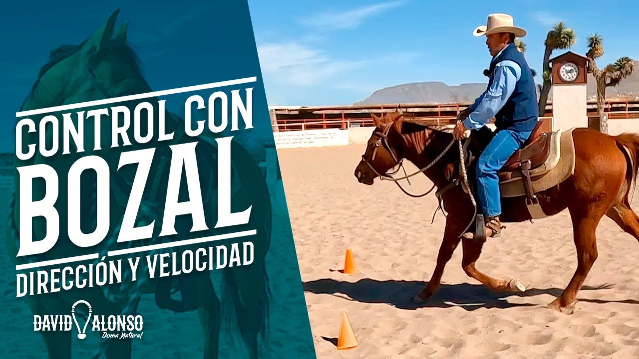 Control con el Bozal : Dirección y Velocidad