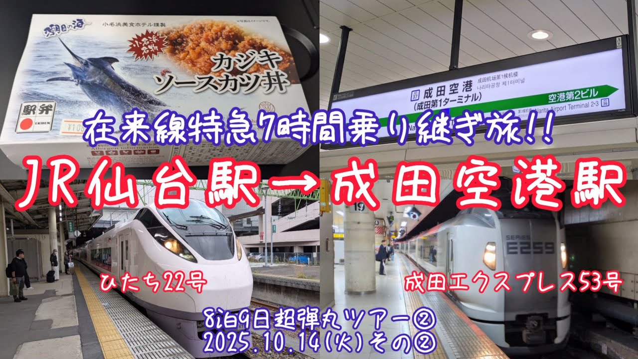 【在来線特急で仙台駅から成田空港駅まで7時間乗り継ぎ旅】特急ひたち22号から成田エクスプレス53号(2025.10.14その②)