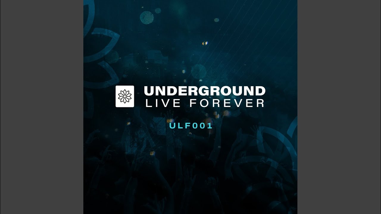 In The End You'll Know (ULF001)