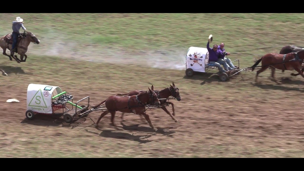 Chuckwagon Dreams: Bar OF 2025 Tribute - Clinton, Arkansas.