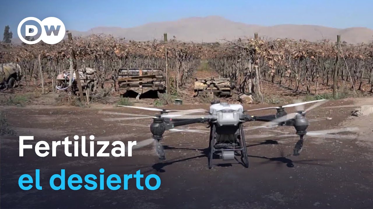 Inteligencia Artificial para cultivar en Atacama