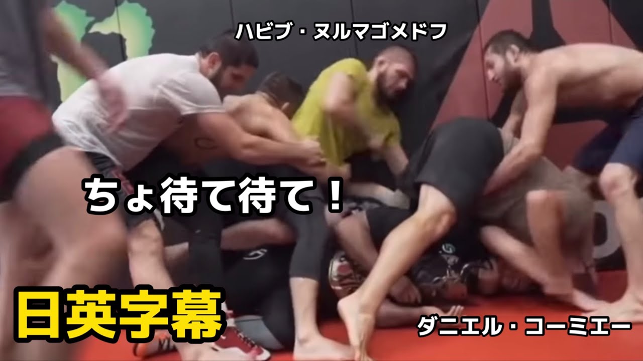 中学生の休み時間みたいなノリになるヌルマゴメドフとダニエルコーミエー| Daniel Cormier｜Khabib Nurmagomedov｜日英字幕翻訳|english｜格闘技|MMA|UFC|