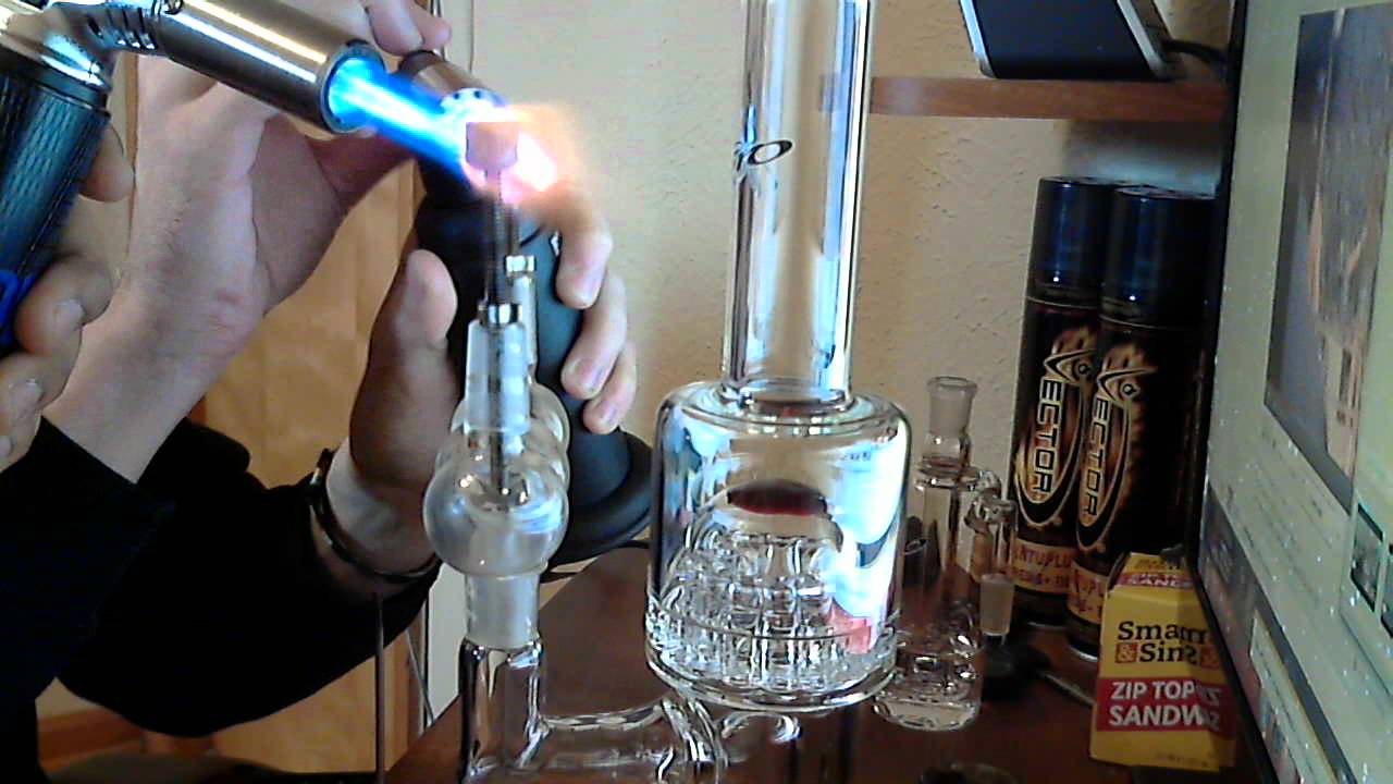 Double Dabs / Toro Circ / 13 shrub