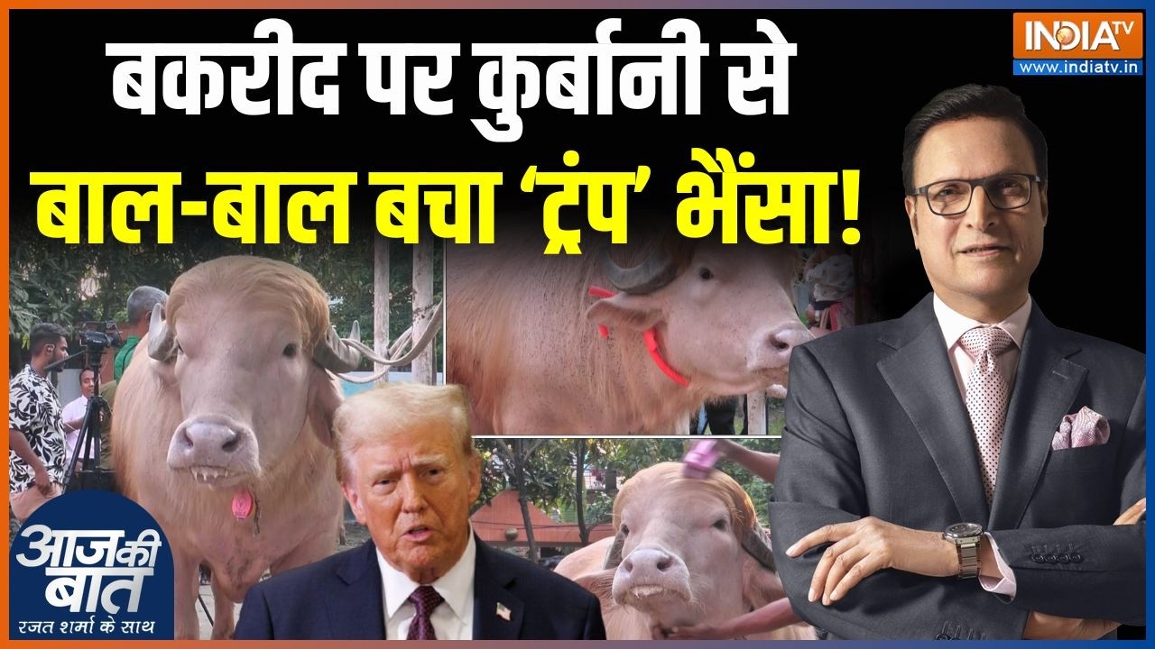 Donald Trump Buffalo Video : बकरीद पर कुर्बानी से बाल-बाल बचा &lsquo;ट्रंप&rsquo; भैंसा! | Bakrid | Bangladesh