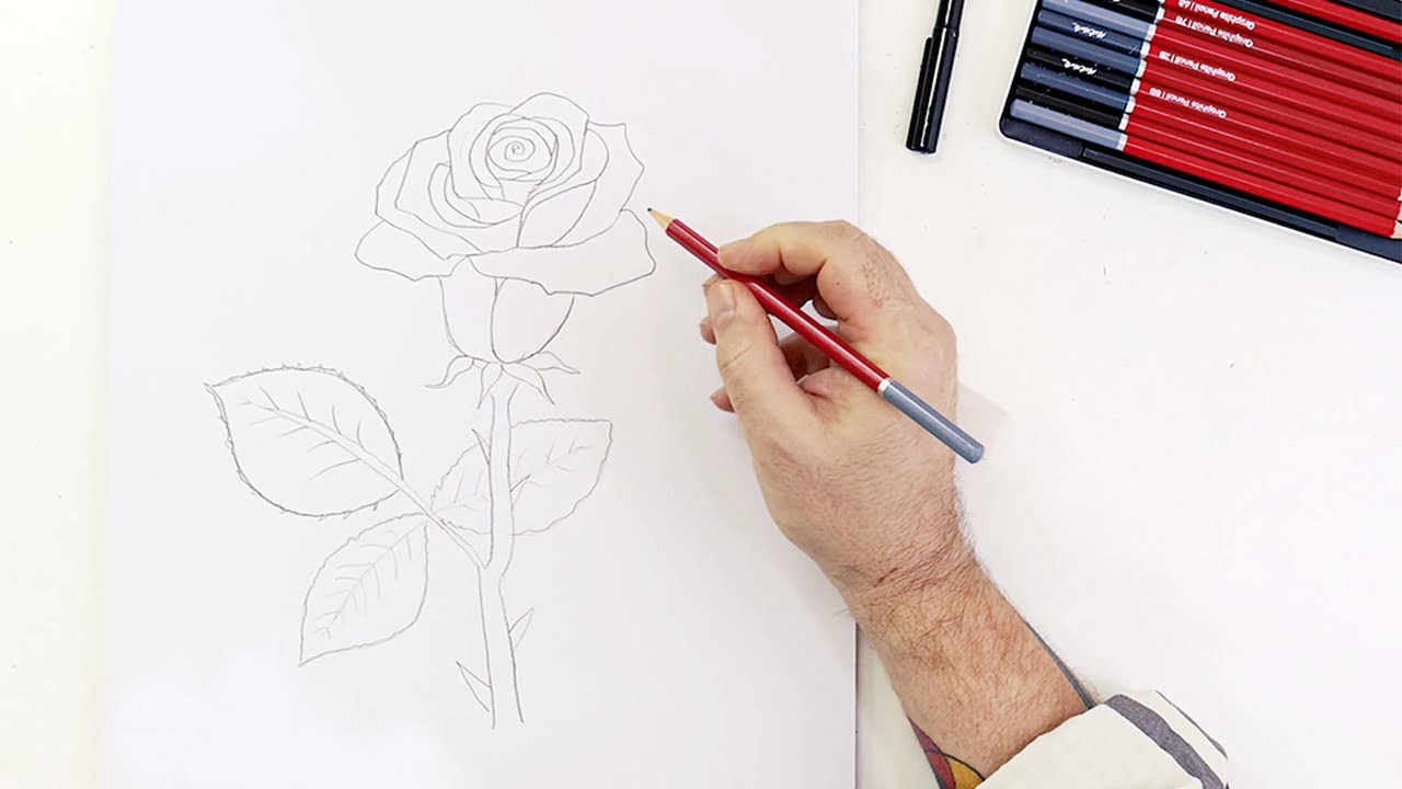 How to: draw a rose