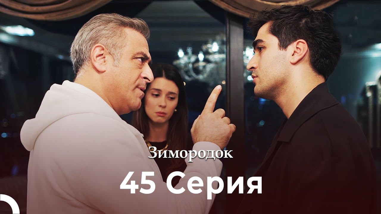 Зимородок 45 Cерия (Русский дубляж) (4K)