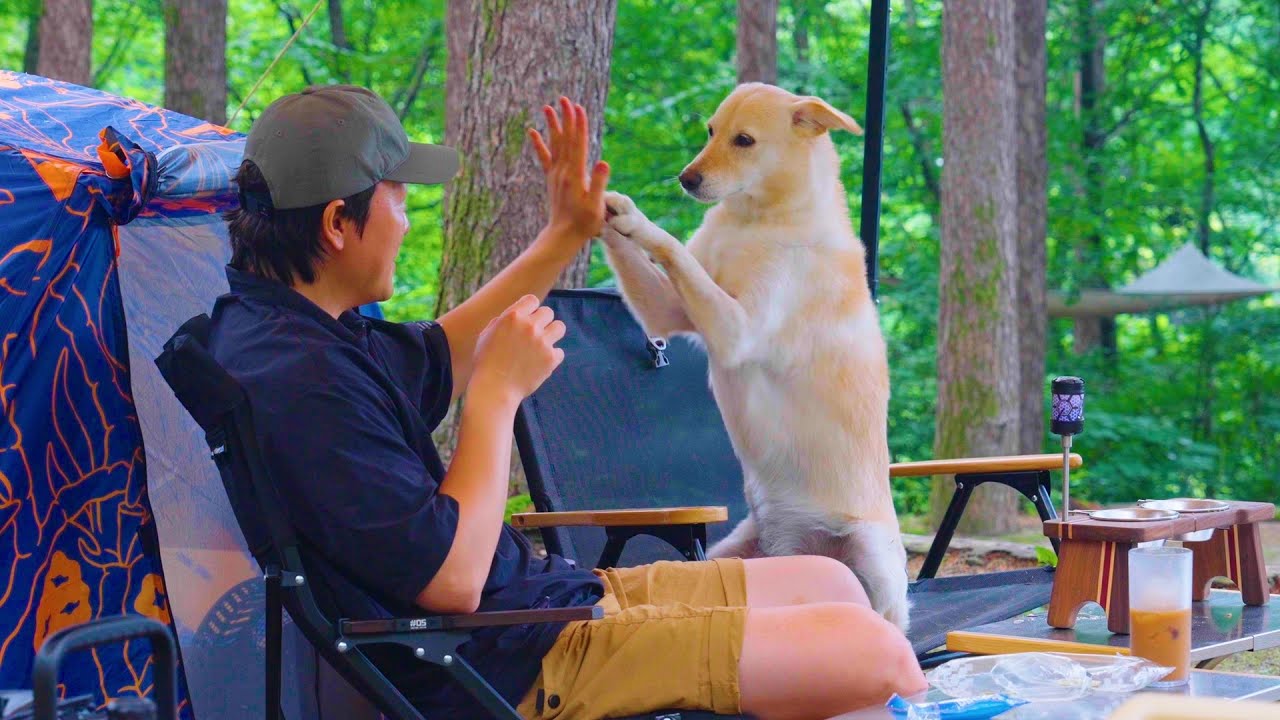 Одиночный кемпинг в глубине леса с моей собакой 🌲🐶 Под умиротворяющие звуки природы