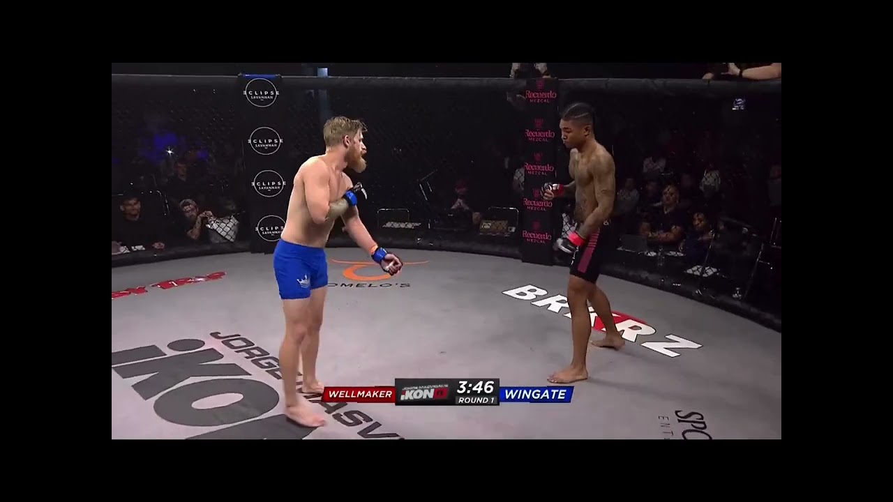 Malcolm Wellmaker vs Christopher Wingate #ChristopherWingate #MalcolmWellmaker #mma