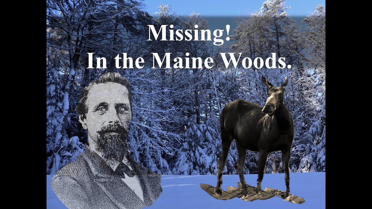 Penobscot Woodsman - David Stone Libbey