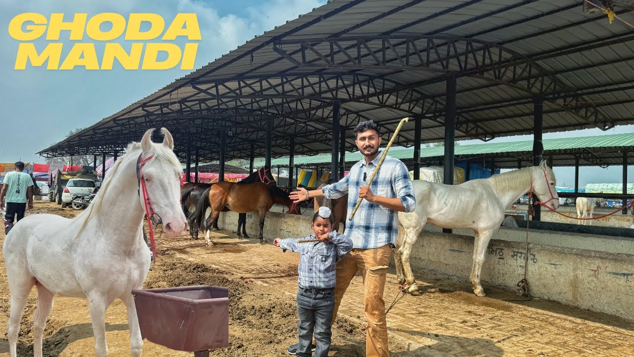 Jagraon Ghoda Mandi 2025 || Horse Fair 🐎