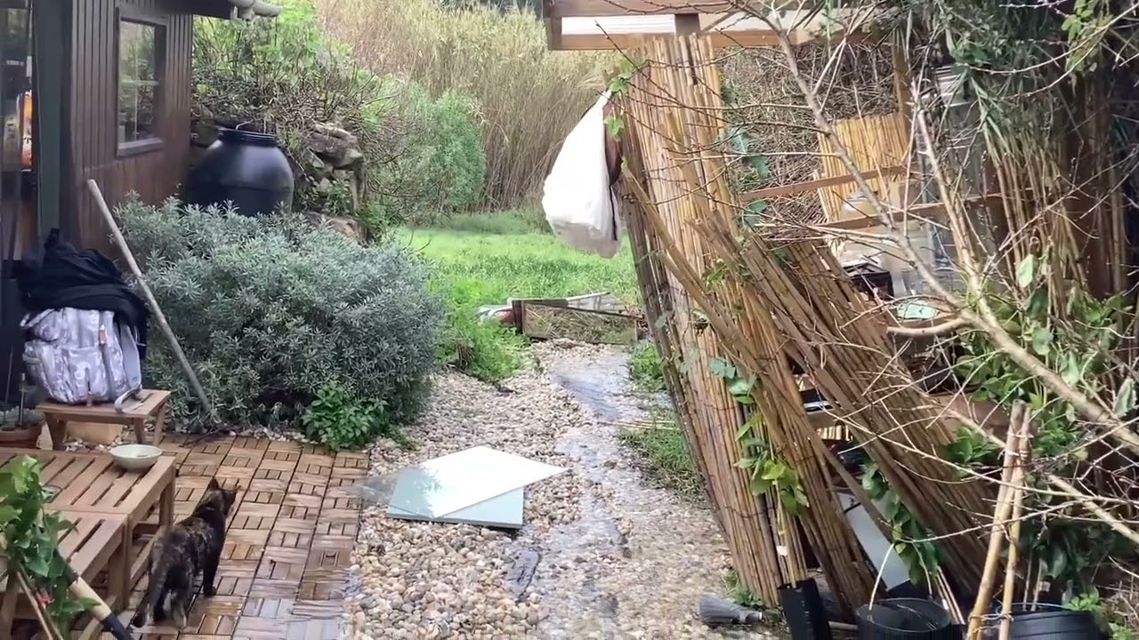 DAMAGES from EXTREME STORMS in Portugal