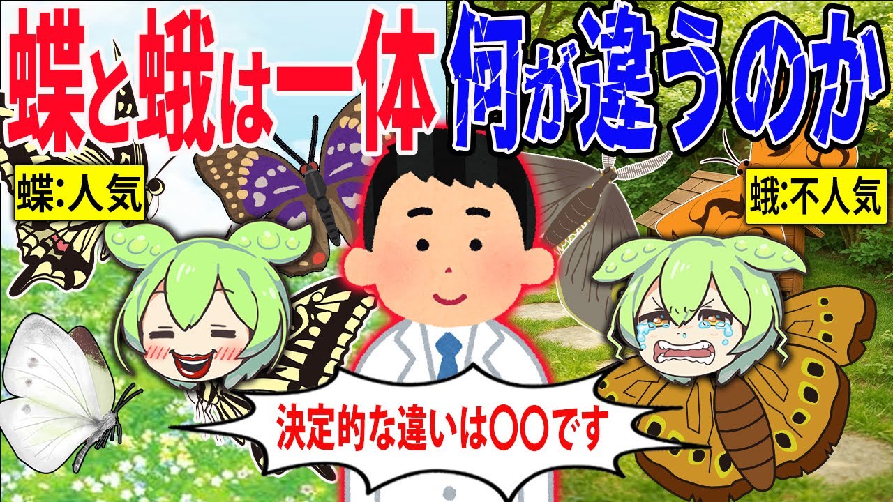 蝶と蛾の違いは一体何なのか？生態の違いを徹底解説！【ずんだもん＆ゆっくり解説】