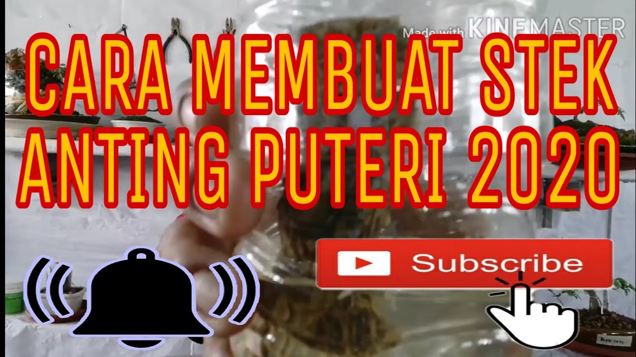CARA MUDAH MEMBUAT STEK ANTING PUTERI 2020