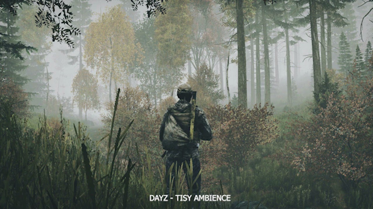 DayZ OST — Ambient Music TISY