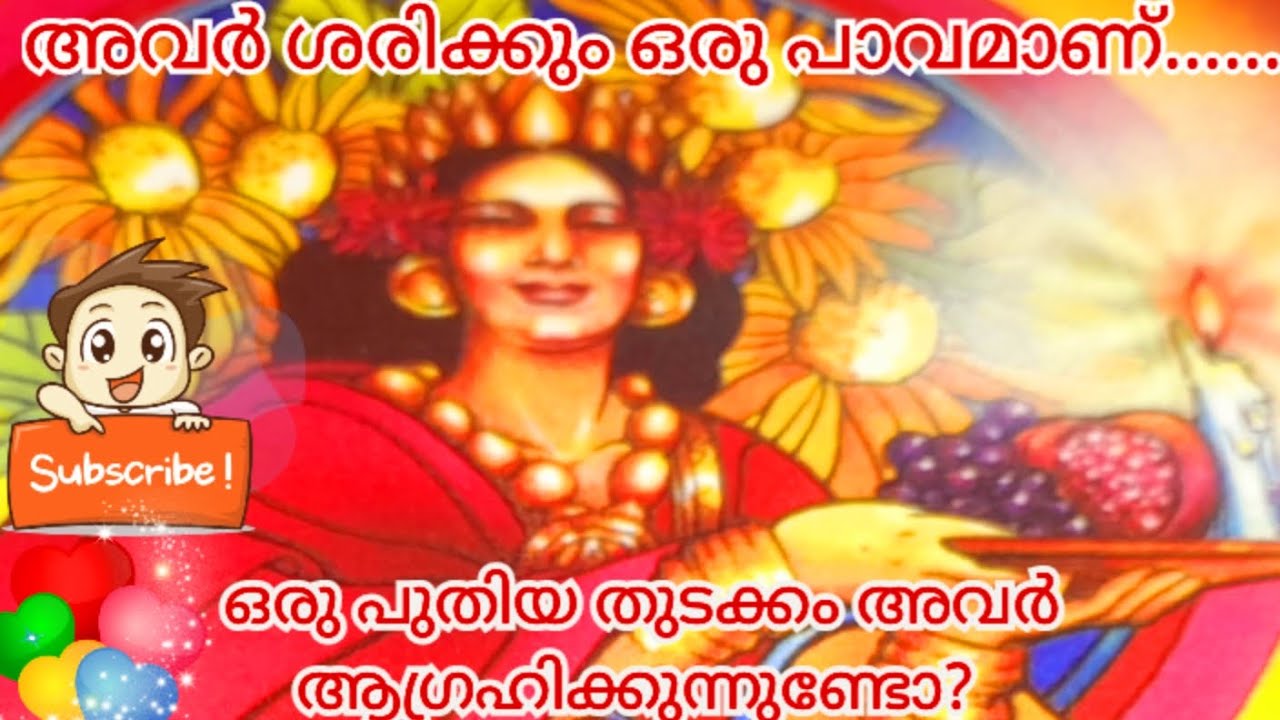 ഒരു പുതിയ തുടക്കം അവർ ആഗ്രഹിക്കുന്നുണ്ടോ?🧿🤔😇😪🧿/THEIR FEELINGS Tarot card reading no 🤳 Timeless 🧿💑🧿