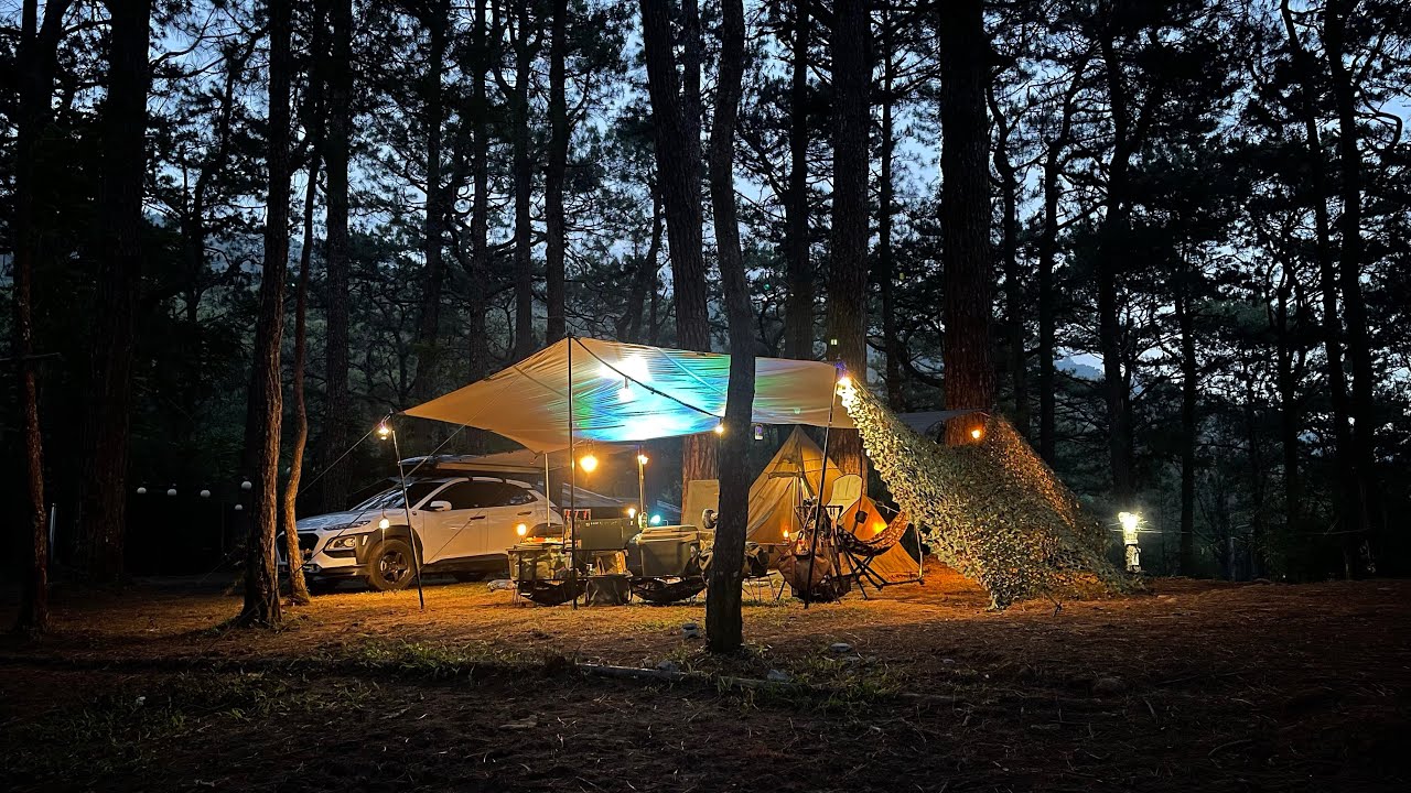 Solo Car Camping | Carantes Ancestral Forest | Baguio City | Hyundai Kona | Cold weather | Relax
