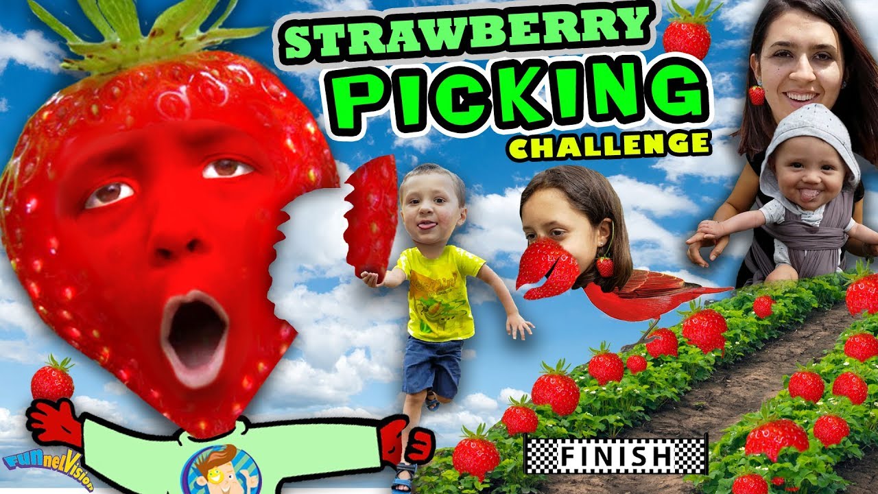 KIDS STRAWBERRY PICKING CHALLENGE! Fields of Fun w  FUNnel Family + Play Time! Family Vlog