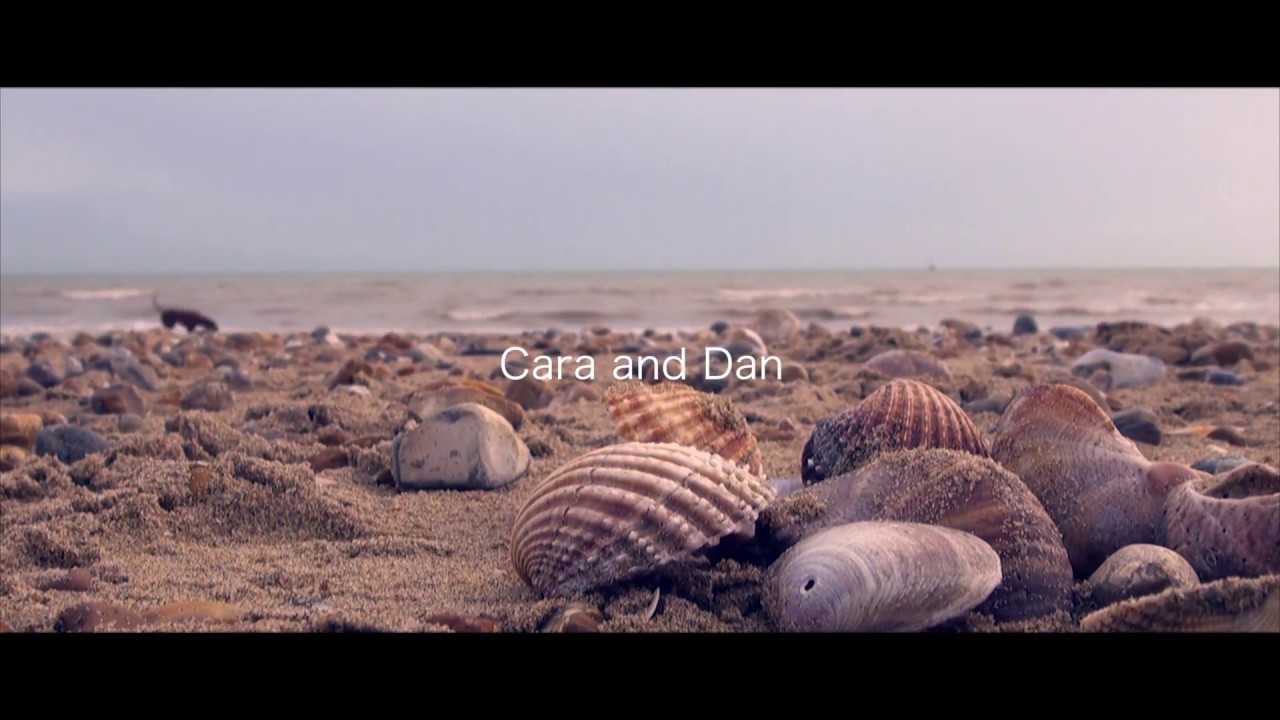 Cara and Dan - Wedding Highlights