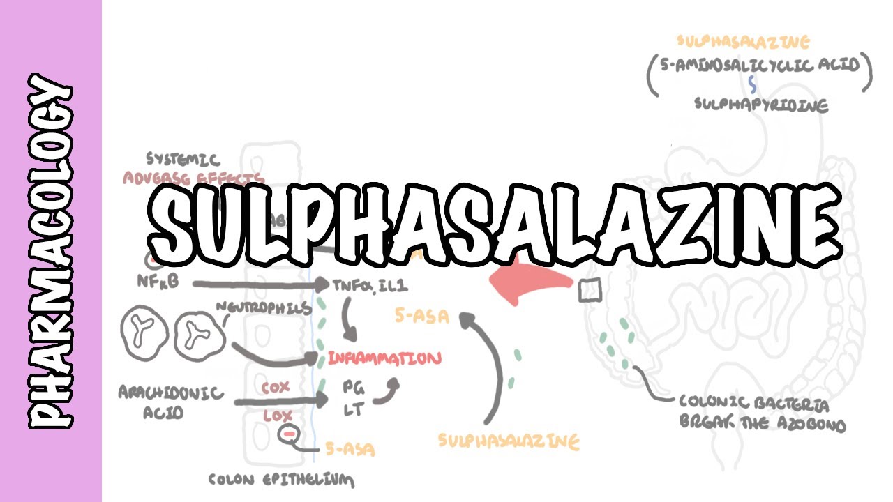 Sulphasalazine (DMARD) - Pharmacology, mechanism of action, metabolism, side effects