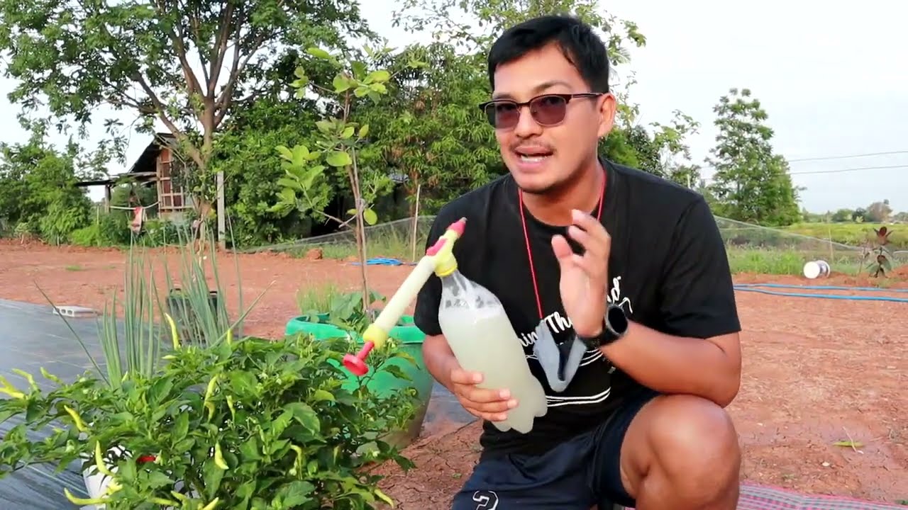 สูตรเด็ดไม่ต้องหมัก!! ทำเช้าเย็นเขียวใน1วันเท่านั้น  ชีวิตต้องไม่ยาก