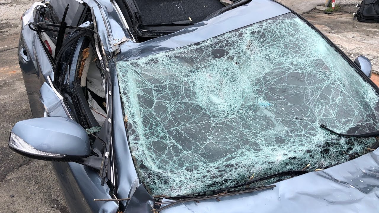 Viral video captures tree falling onto car traveling I-285