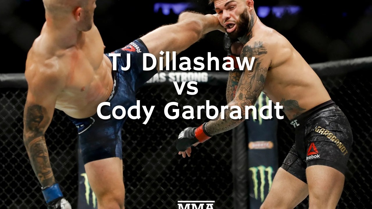 TJ Dillashaw vs Cody Garbrandt highlights