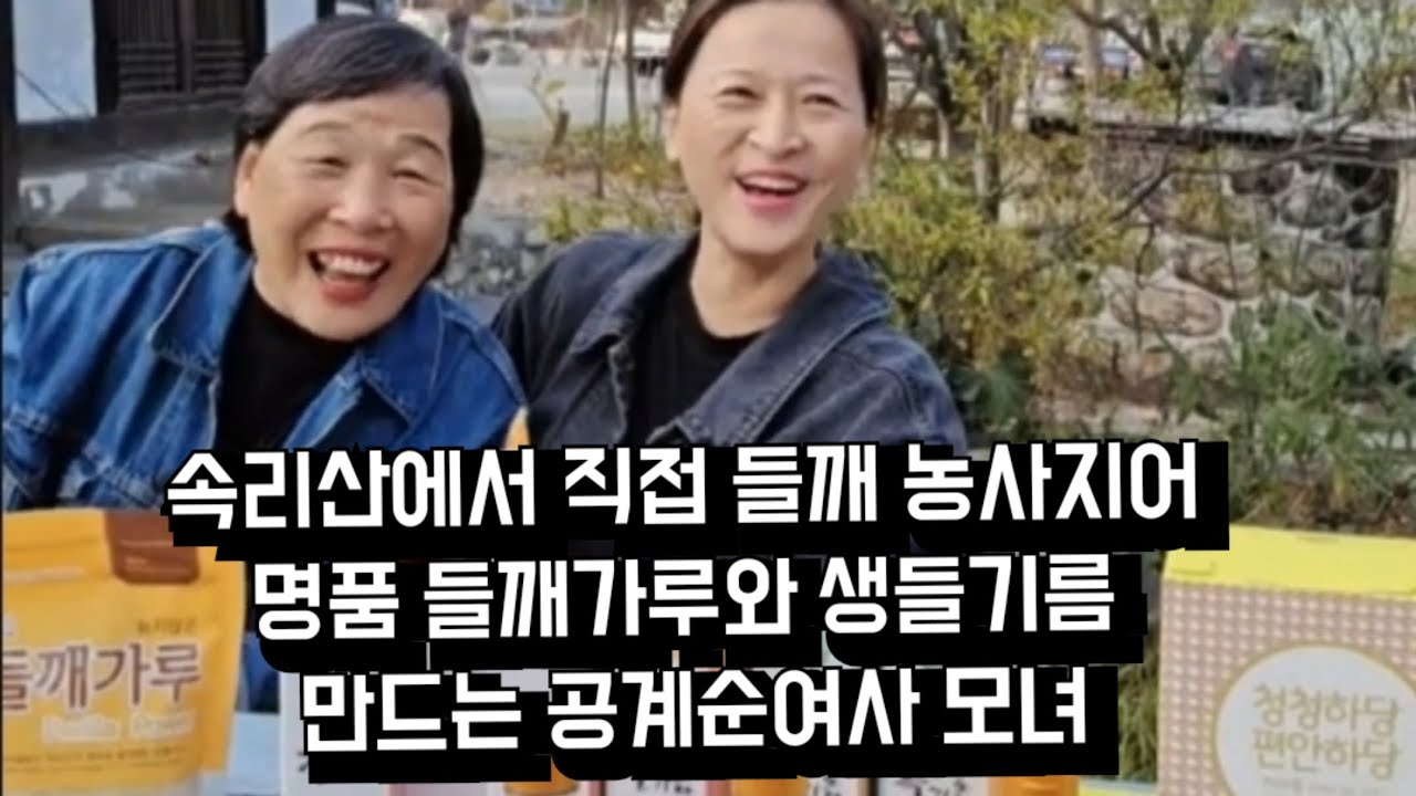 속리산에서 들깨 농사짓는 공계순여사 모녀 #생들깨가루 #생들기름