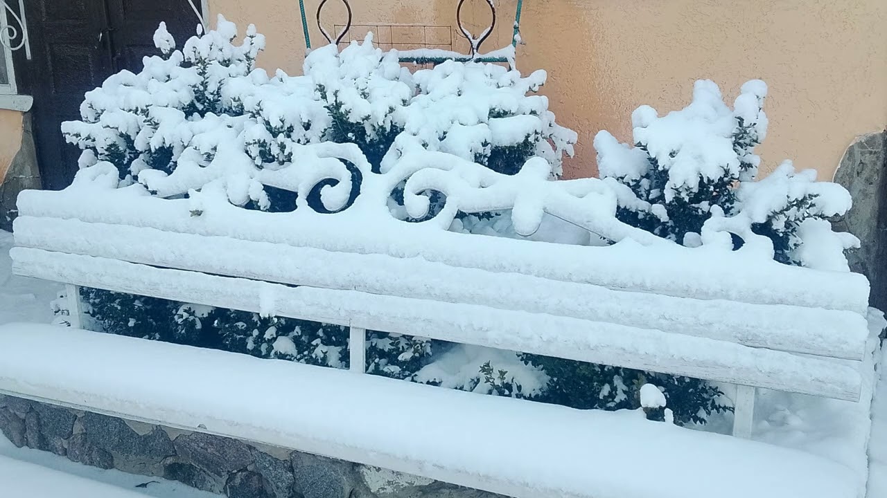 ОЙ СНІГУ СНІГУ БІЛОГО