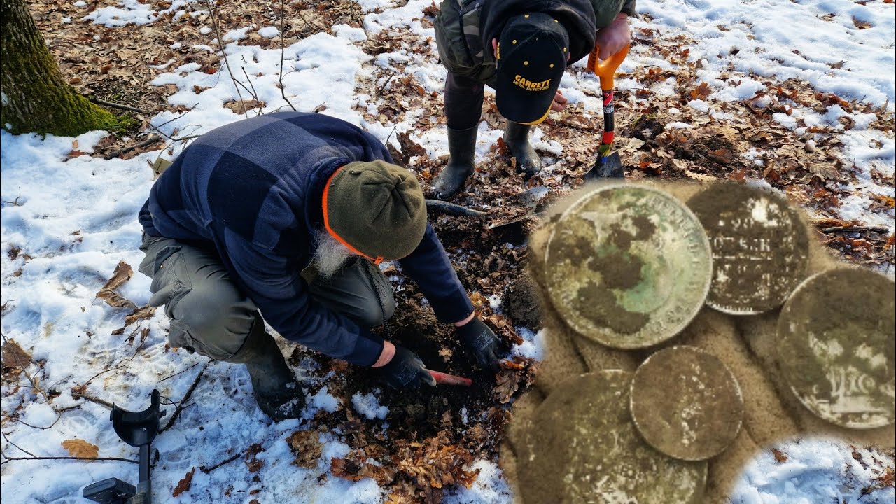 Detecție de Metale ! Comoara din pădure