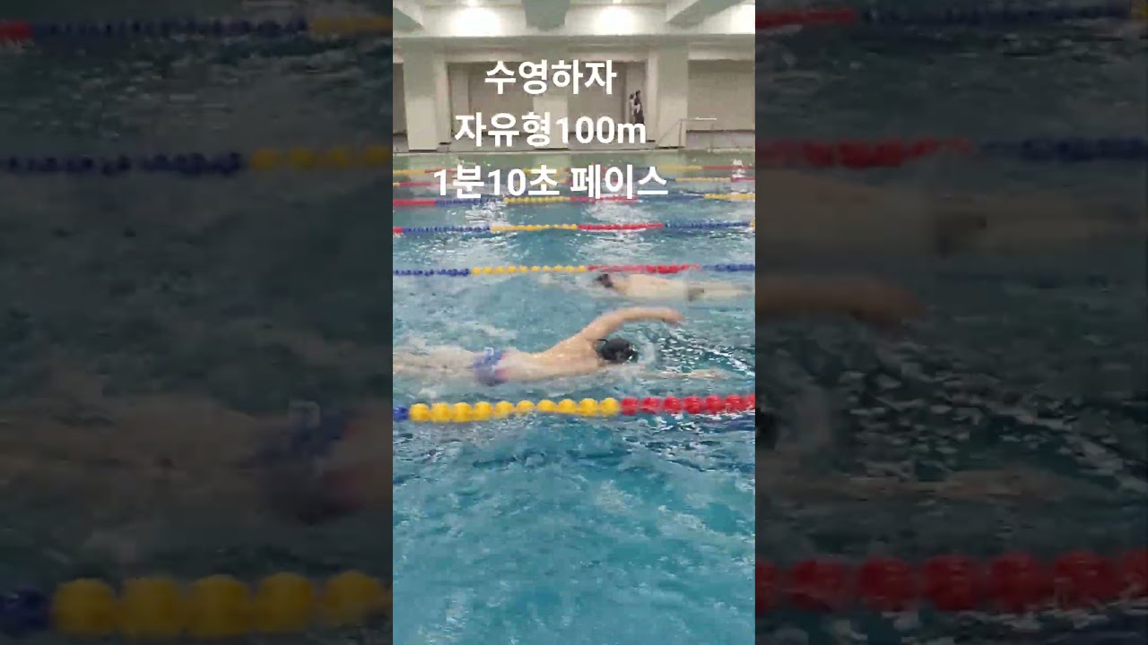 자유형 100m1분10초 페이스 훈련