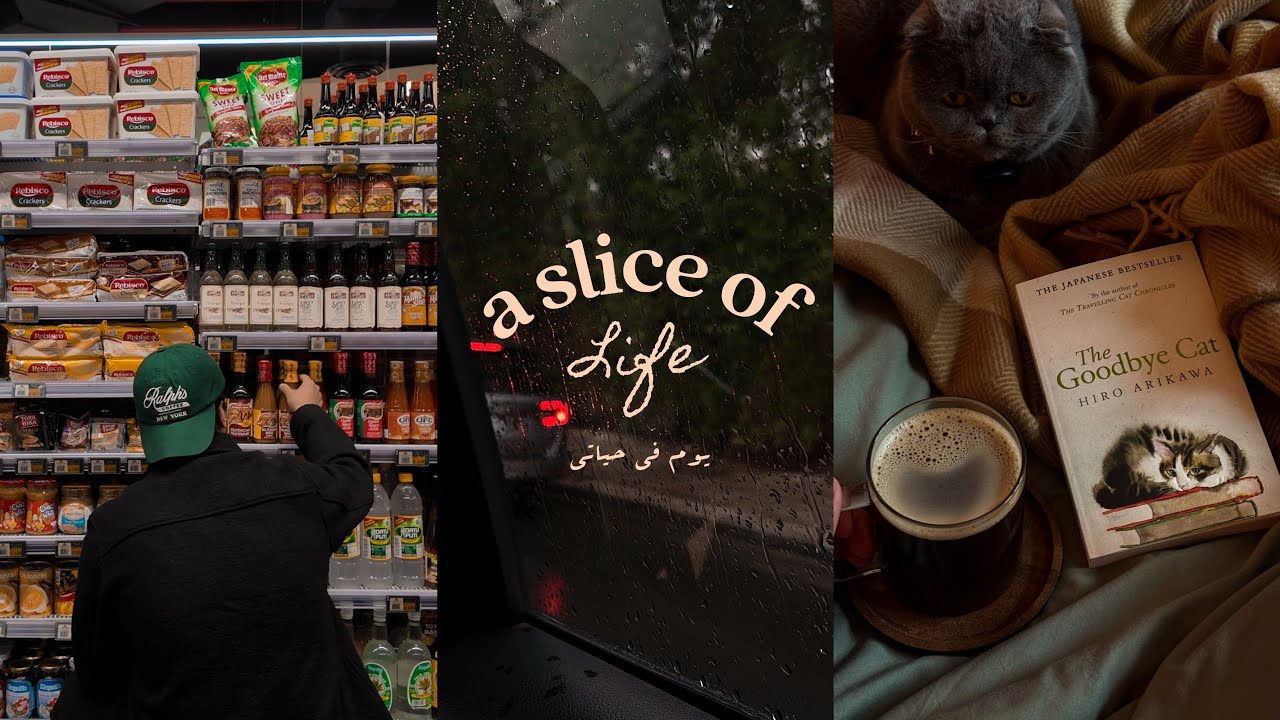 a few cozy days | book fair, camping, cat lounge 🍁🪵🎞️