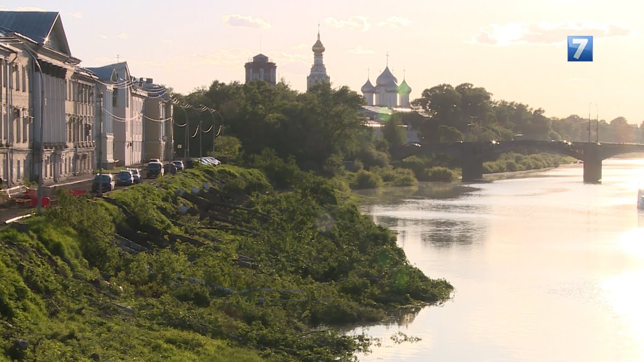 Без комментариев: Вырубка деревьев на Пречистенской набережной 2015.05.25