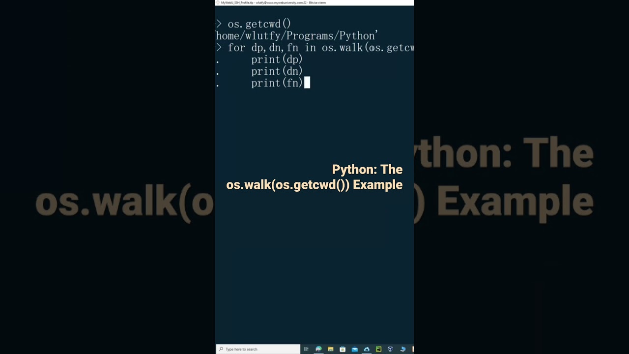 Python: The os.walk(os.getcwd()) Example