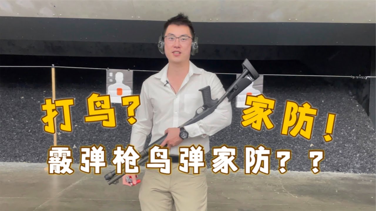 霰弹枪家防用鸟弹？！