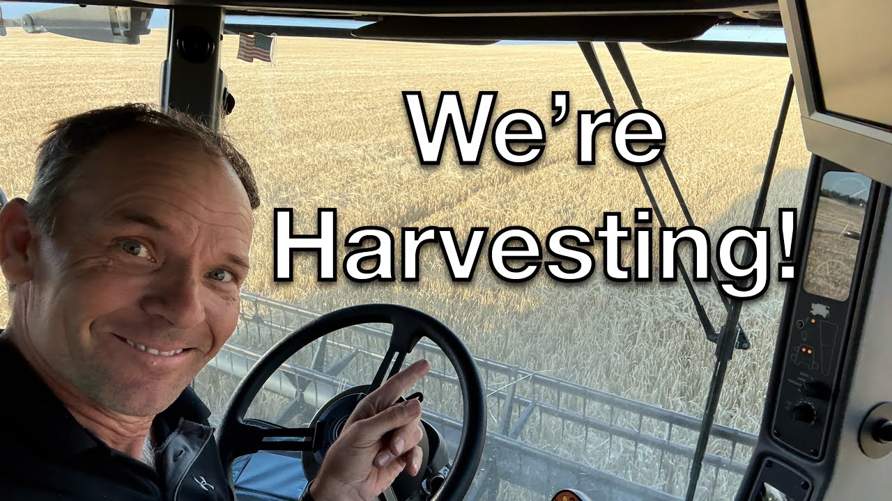 That escalated quickly! Harvest 2025 starts #Harvest25 #farming #agriculture 