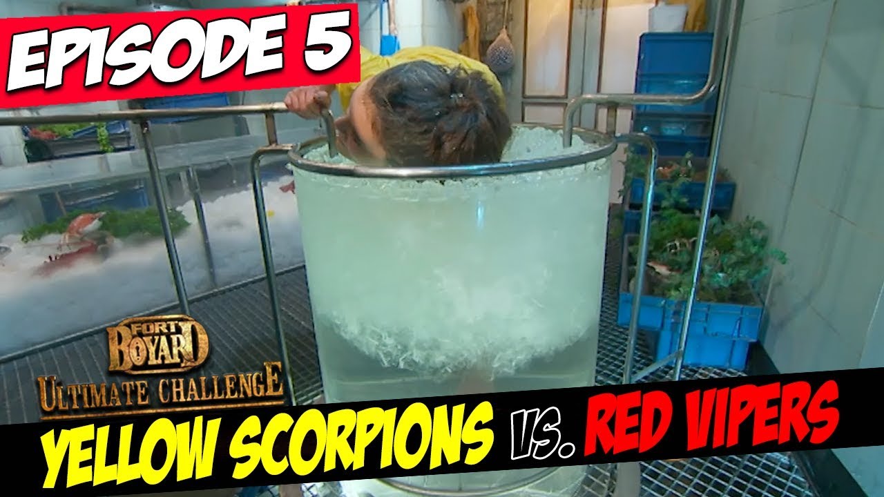 Жёлтые Скорпионы против Красных Гадюк | Сезон 3, Эпизод 5 | Форт Боярд: Решающее испытание