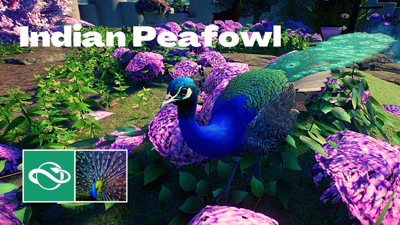 🦚 Planet Zoo Sandbox Mode | Indian Peafowl | Speedbuild