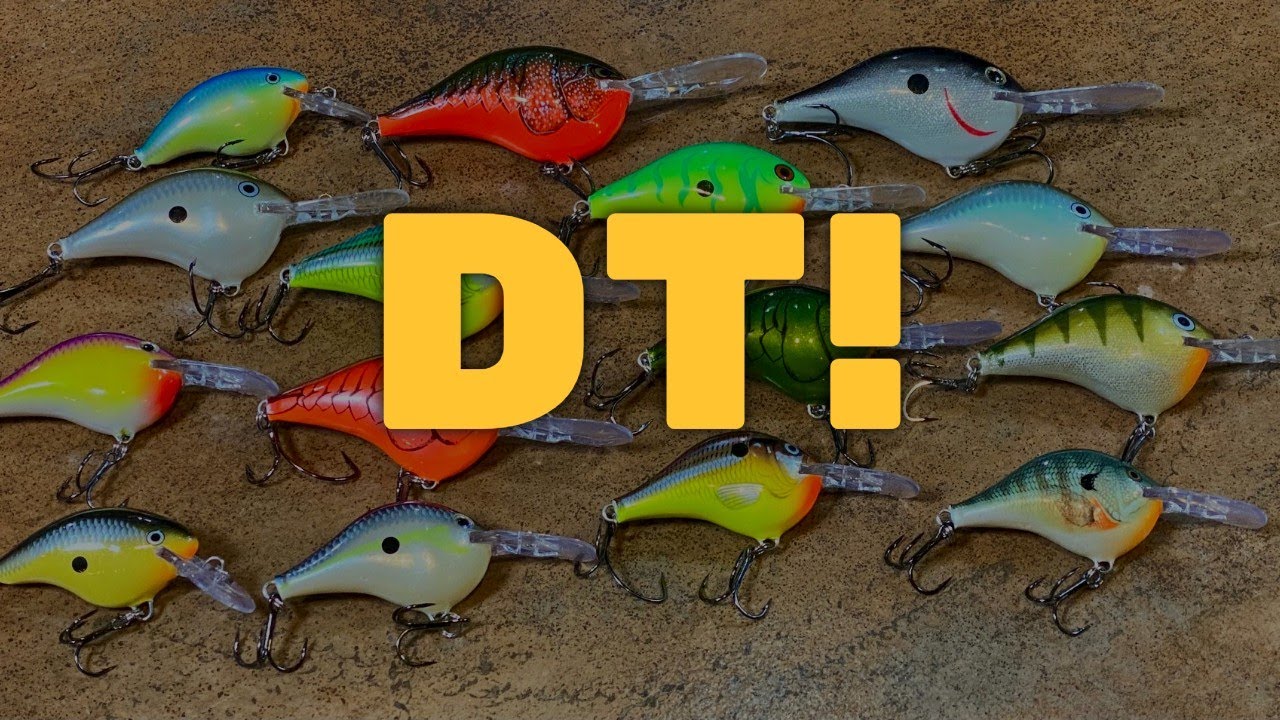 Rapala DT Crankbaits - One of the Greatest Crankbaits ever made.
