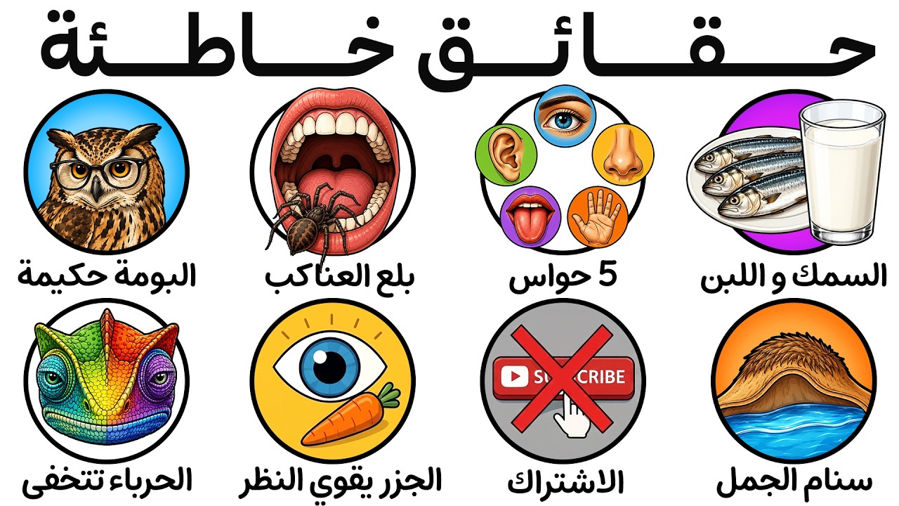 شرح لكل الحقائق الخاطئة التي لا يزال الجميع يؤمن بها