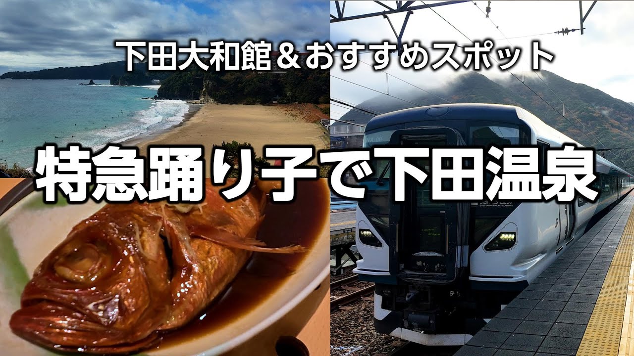 特急踊り子で行く伊豆・下田大和館｜下田のおすすめスポットも紹介