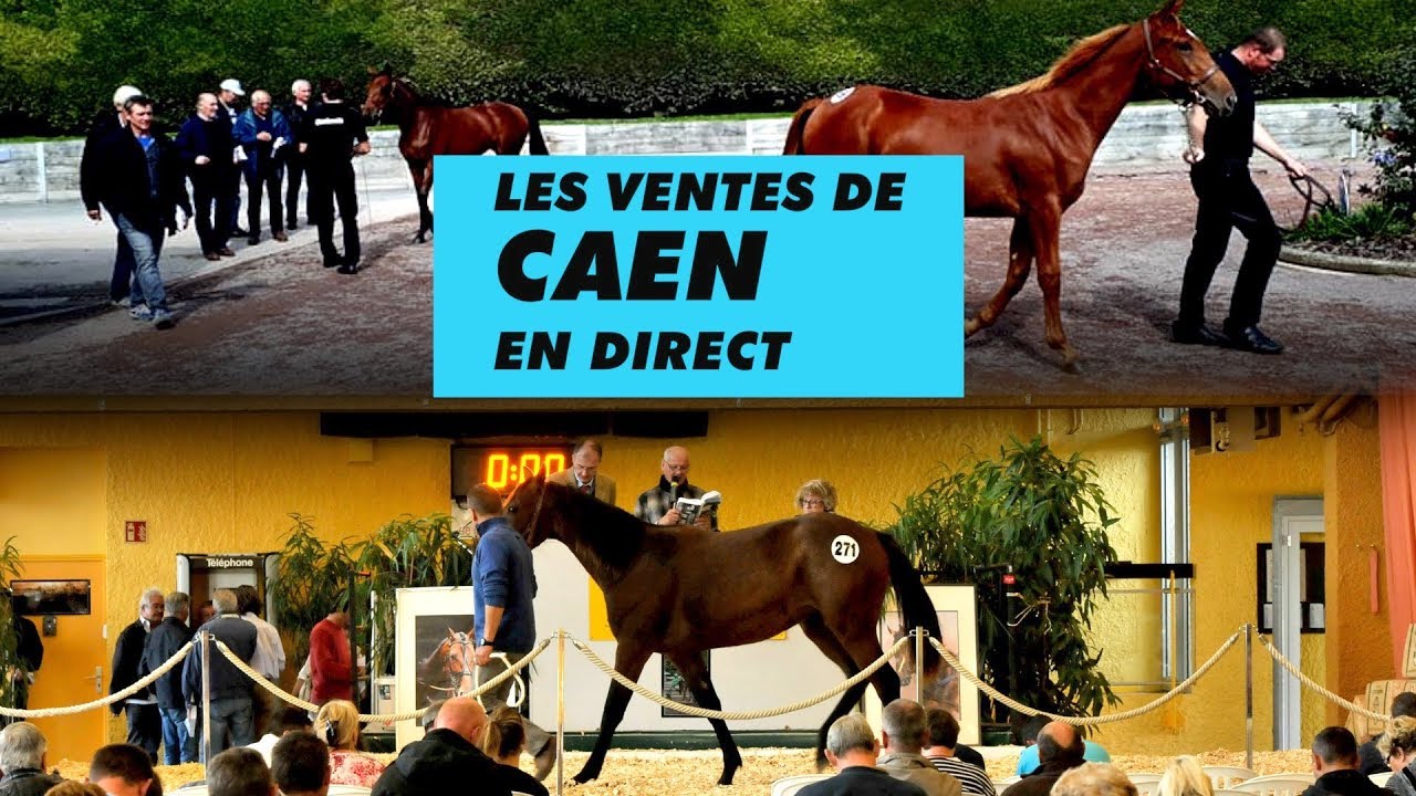 CAEN - VENTES DE TROTTEURS 2017 #3