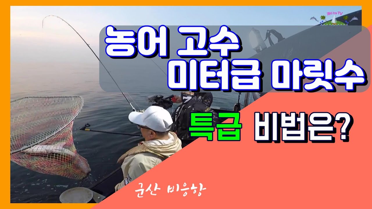 농어 외수질 미터급 마릿수의 고수 특급 비법 따라하기,,초보도 할수있다.